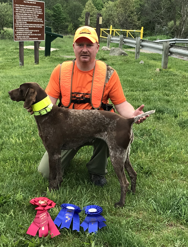 Blaze with her Field Trial Ribbons